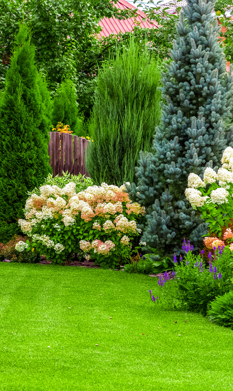Valentine Home and Garden Improvements